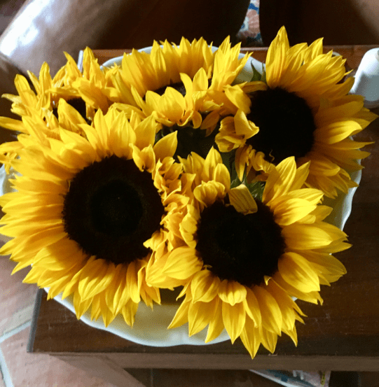 20190623-9c1179e2-6a94-41c4-a511-2af8deba0f82.png