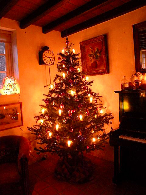 20121217-kerstboom.jpg